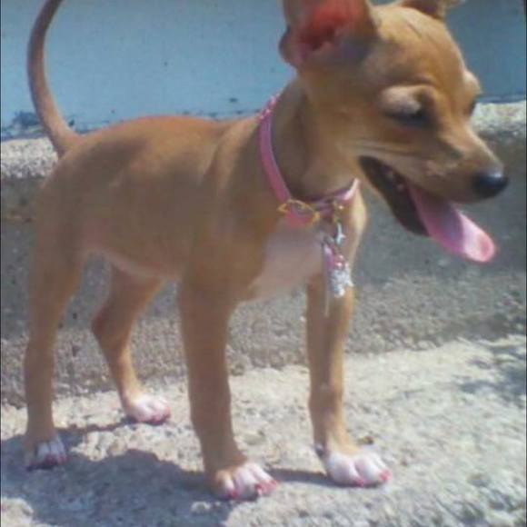 Meet your Posher, Donnie - Picture 1 of 1